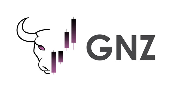 Curso THE GNZ University